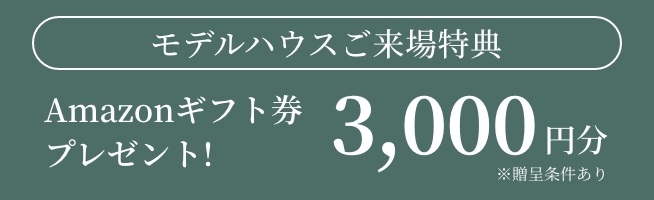 Amazonギフト券3,000円分プレゼント