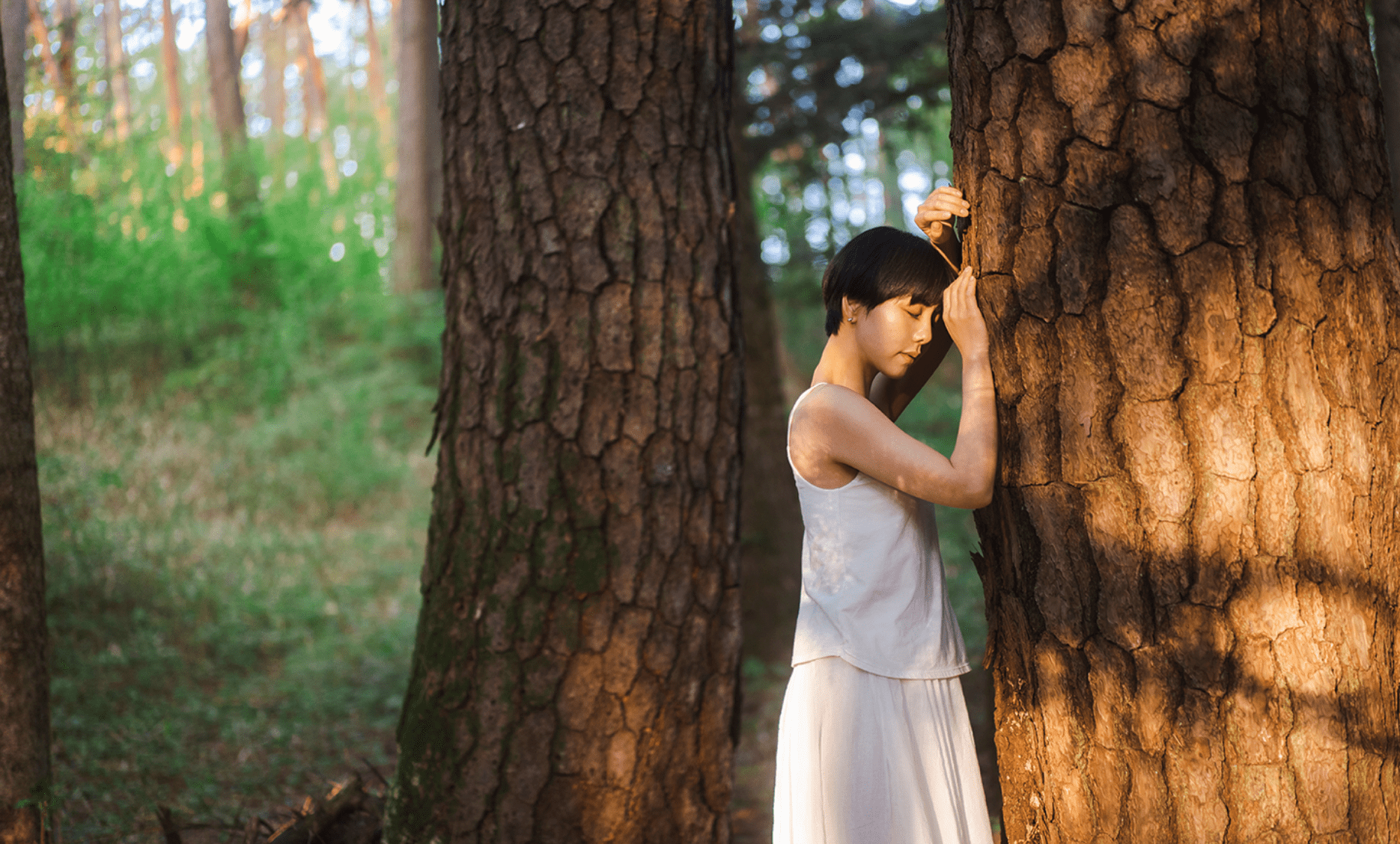 木に触れる林業から始まった家づくり。木を学び、詠み、活かす。