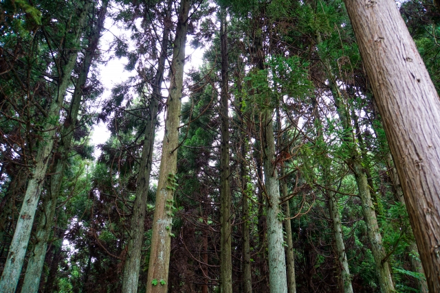 自然素材と一般的な建材の調湿性能比較