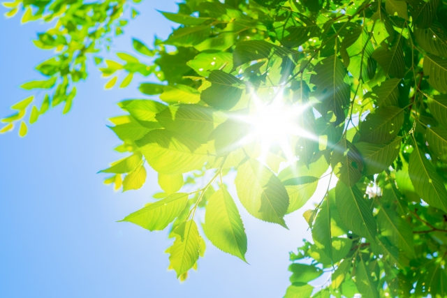 断熱と遮熱：太陽エネルギーを賢く利用する使い分け術