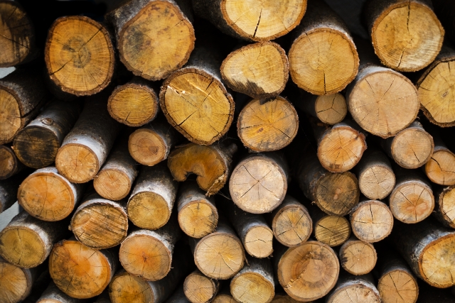 家の強度を左右する木材乾燥法の種類と特徴