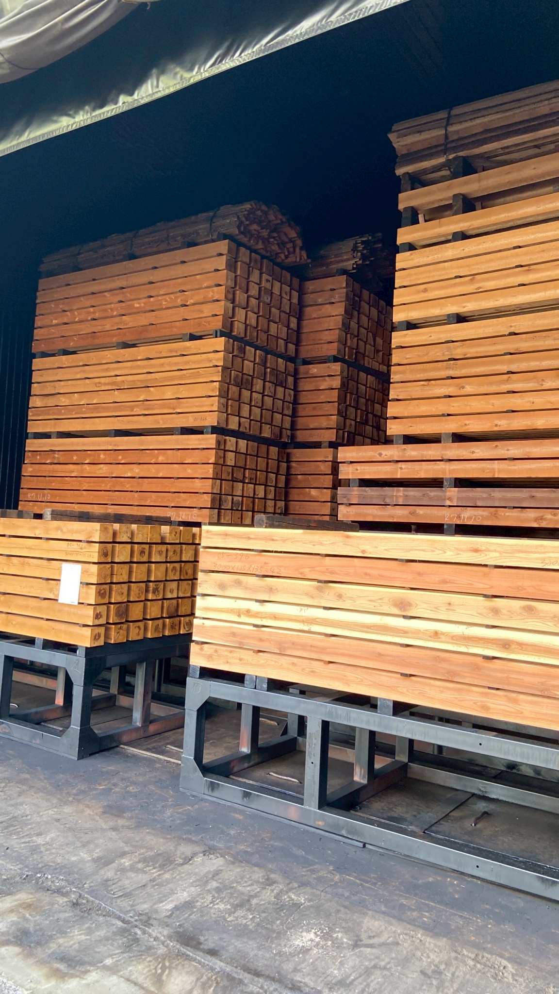 白蟻や腐敗に強い木材がもたらす長期的な安心感