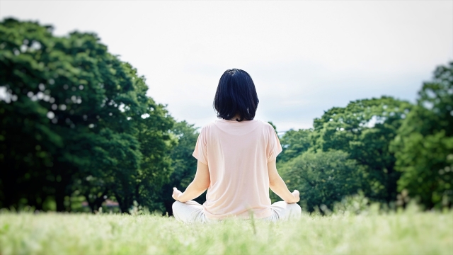 ジャパンディがもたらす「静寂」の正体