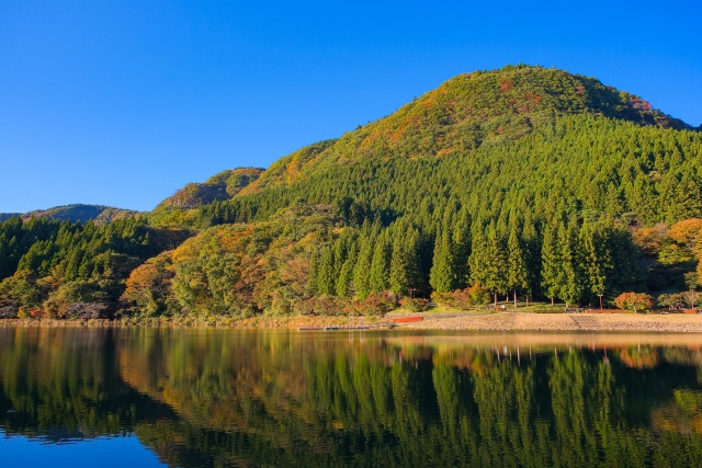 山を放置することが、自然保護にならない理由