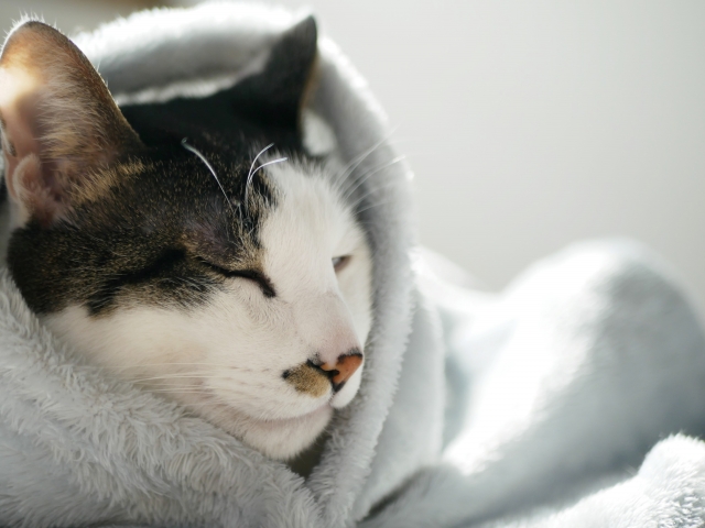 「室温18℃」が分ける健康の境界線。世界基準で考える、これからの住まいの新常識