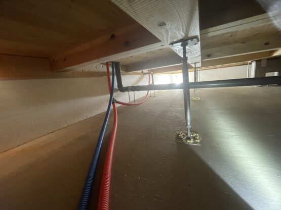 社内検査（福嶋）斉藤林業スタッフブログ