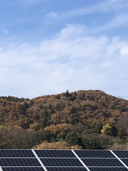 ちょっと似てる（小澤）斉藤林業スタッフブログ