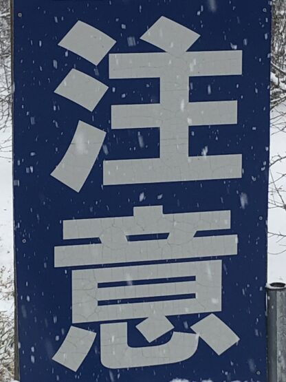 餅　こわい（小澤）斉藤林業スタッフブログ