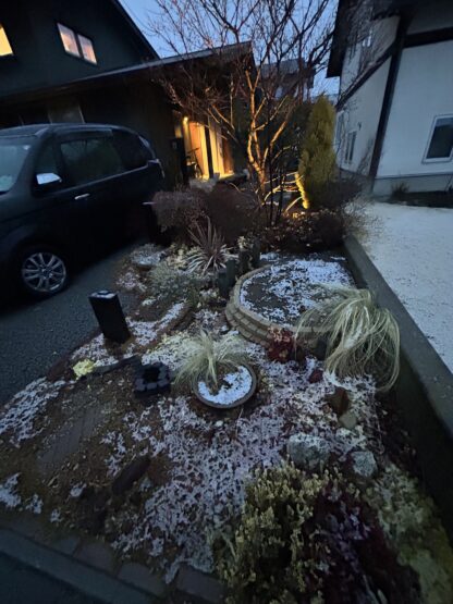 春の息吹（横山）斉藤林業スタッフブログ