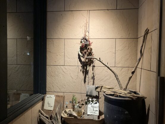 asiana茶廊（岡田）斉藤林業スタッフブログ