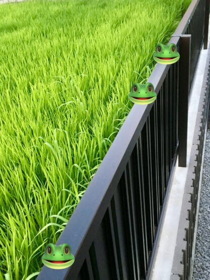 セルロースファイバー断熱材の吸音実験（長張）斉藤林業スタッフブログ