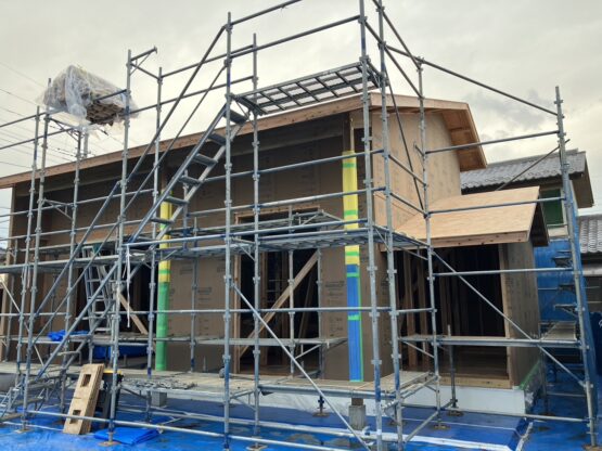 建て方工事！！（大塚）斉藤林業スタッフブログ