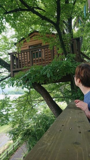 小屋見っけ！！💛（齋藤）斉藤林業スタッフブログ