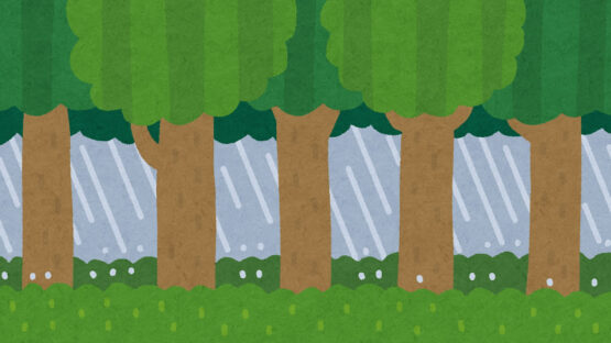 すばらしき森林🌳(渡部)斉藤林業スタッフブログ