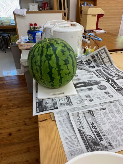スイカ　12キロ　重いです！！🍉（齋藤）斉藤林業スタッフブログ