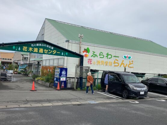 金芽ツゲと常緑のヤマボウシ（中村）斉藤林業スタッフブログ