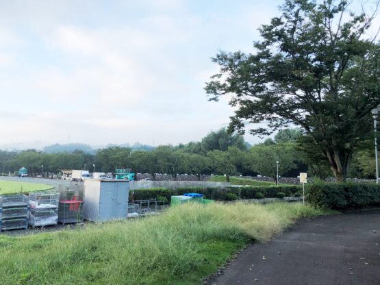 花火大会の朝（登坂）斉藤林業スタッフブログ