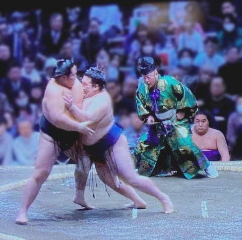 はまってしまった！（齋藤）斉藤林業スタッフブログ