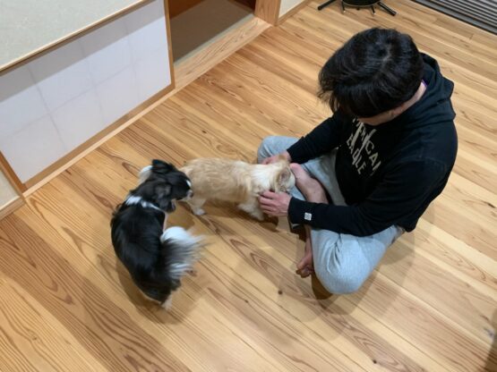 人をダメにする家（いい意味で）（長張）斉藤林業スタッフブログ