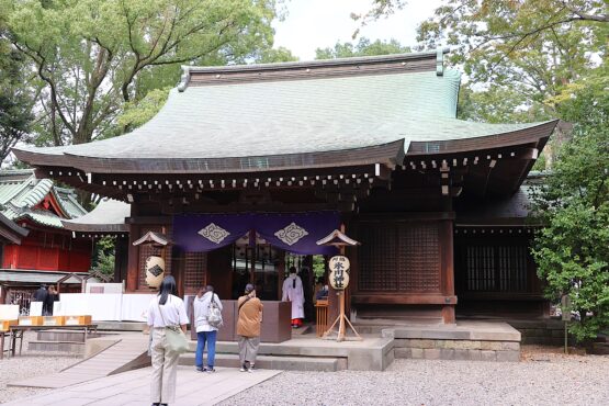 隠すか魅せるか（田村）斉藤林業スタッフブログ