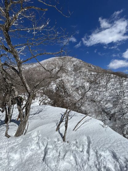 雪の赤城山（横山）斉藤林業スタッフブログ