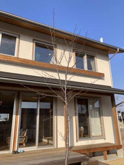今年もまた（青木）斉藤林業スタッフブログ