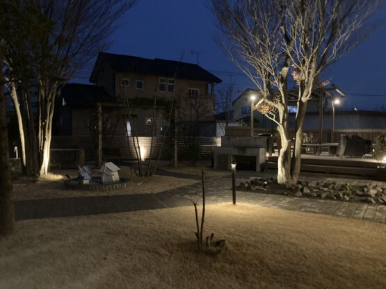 夜のお庭(平田)斉藤林業スタッフブログ