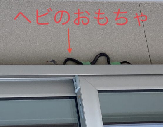 ツバメ対策(土屋)斉藤林業スタッフブログ