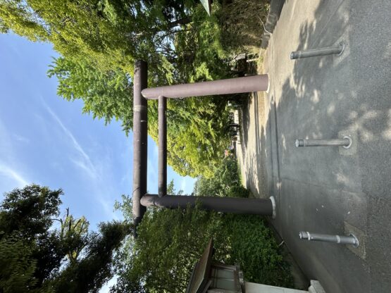 「偕楽園」（横山）斉藤林業スタッフブログ