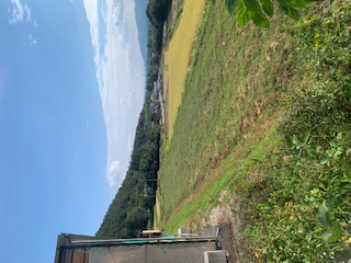 はりきって草刈り！！