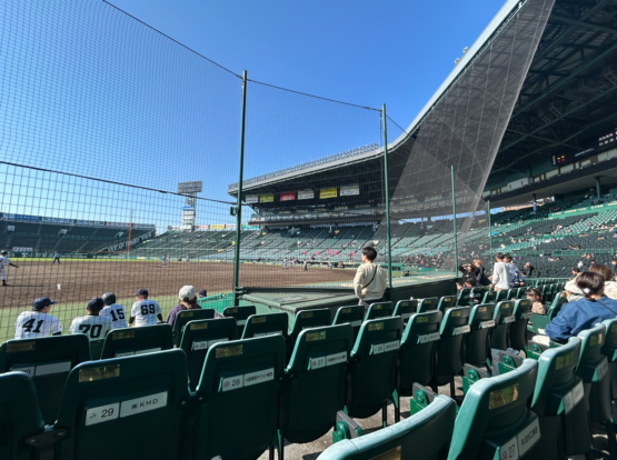 甲子園球場（福嶋）斉藤林業スタッフブログ
