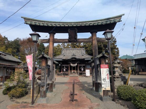 地元の巨木を求めて③（丸山）斉藤林業スタッフブログ