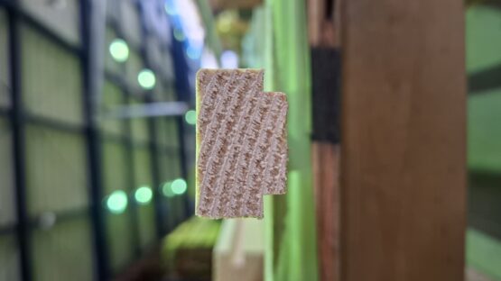 溝つき（林美郁）斉藤林業スタッフブログ