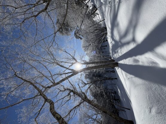 雪山登山（横山）斉藤林業スタッフブログ