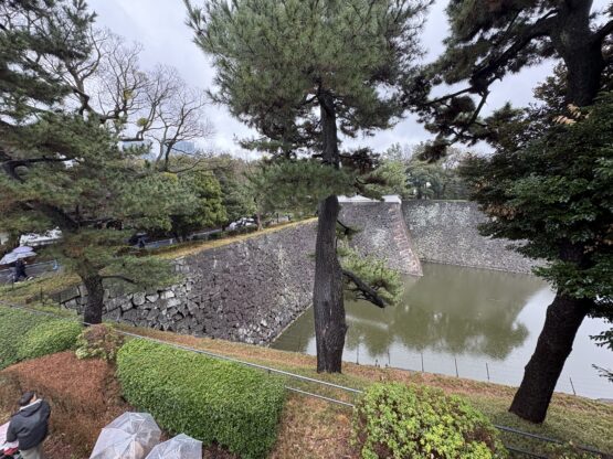 江戸城散策（横山）斉藤林業スタッフブログ