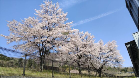 花の月（本木）斉藤林業スタッフブログ