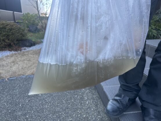 エアコンクリーニング（長張）斉藤林業スタッフブログ