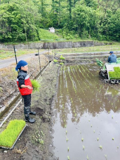 田植え(新井)斉藤林業スタッフブログ