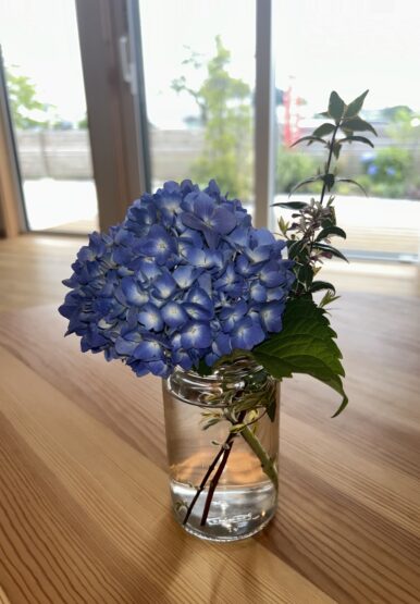 時季の花たち（中島）斉藤林業スタッフブログ