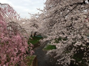 kantoku-sekiguchi.2013.0402-1